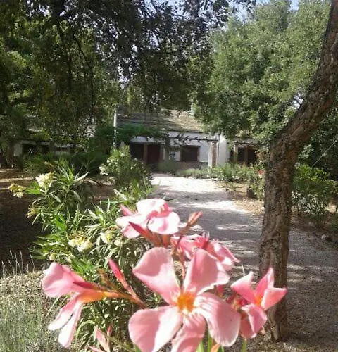Kamp alanı Genal 3*